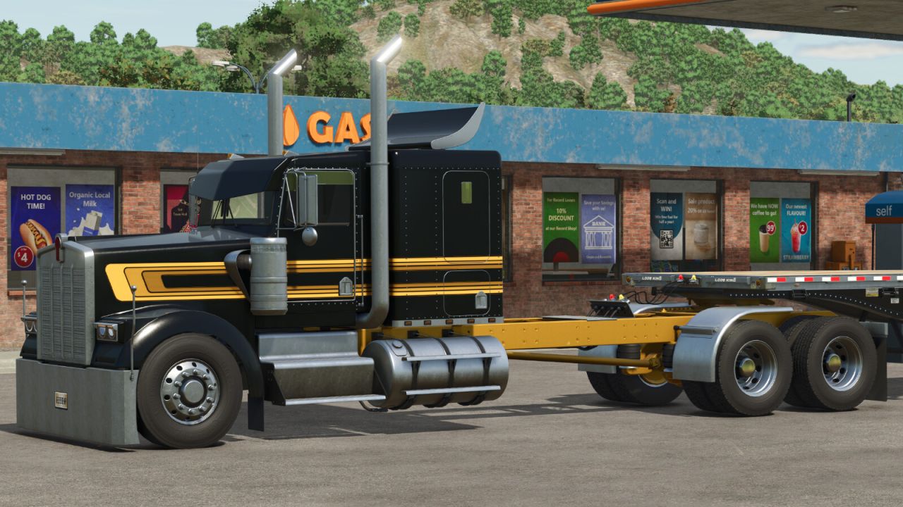 Lizard W900 B