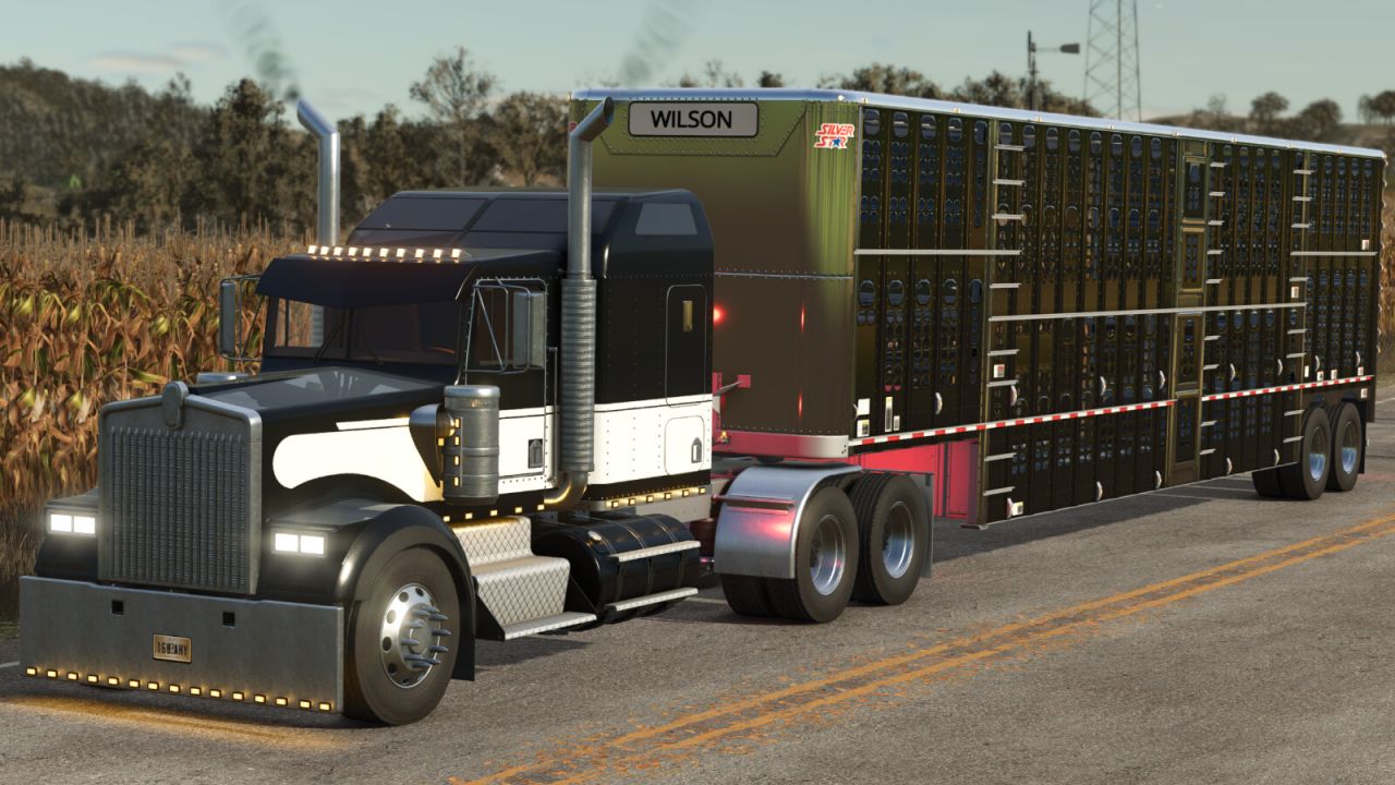 Lizard W900 B