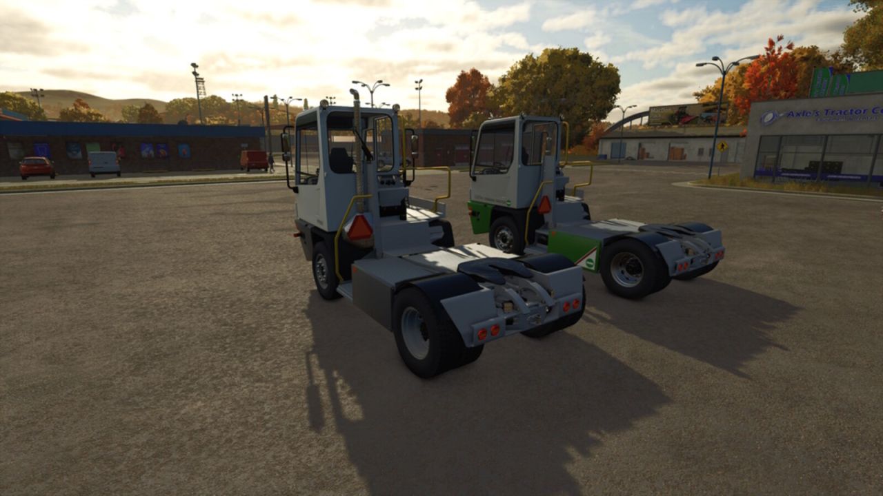 Lizard YT193