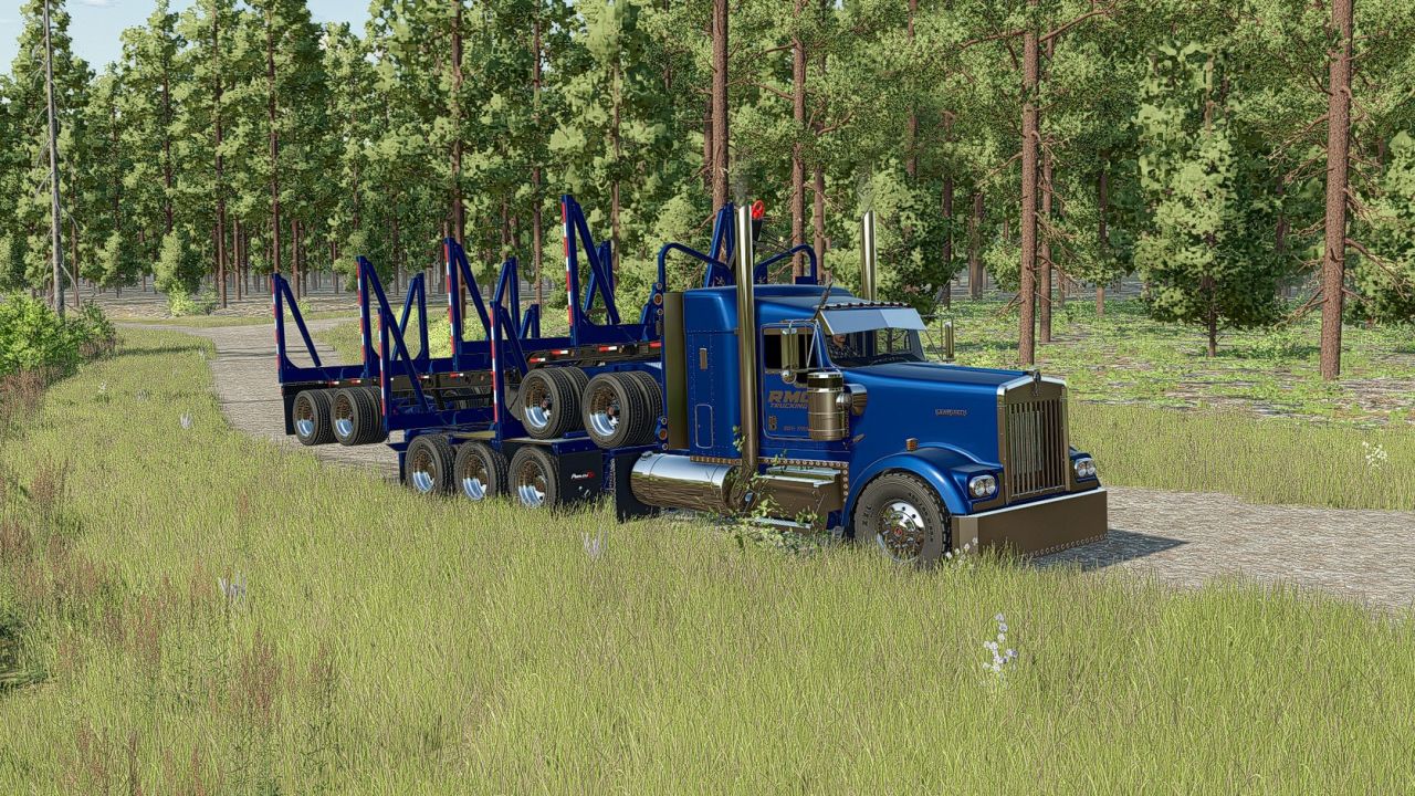 Pacchetto rimorchio con palo in legno