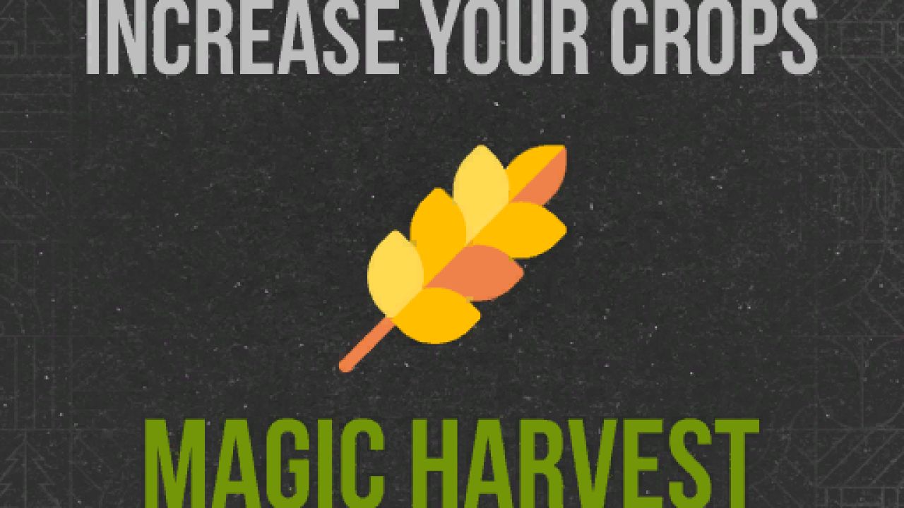 Magic Harvest