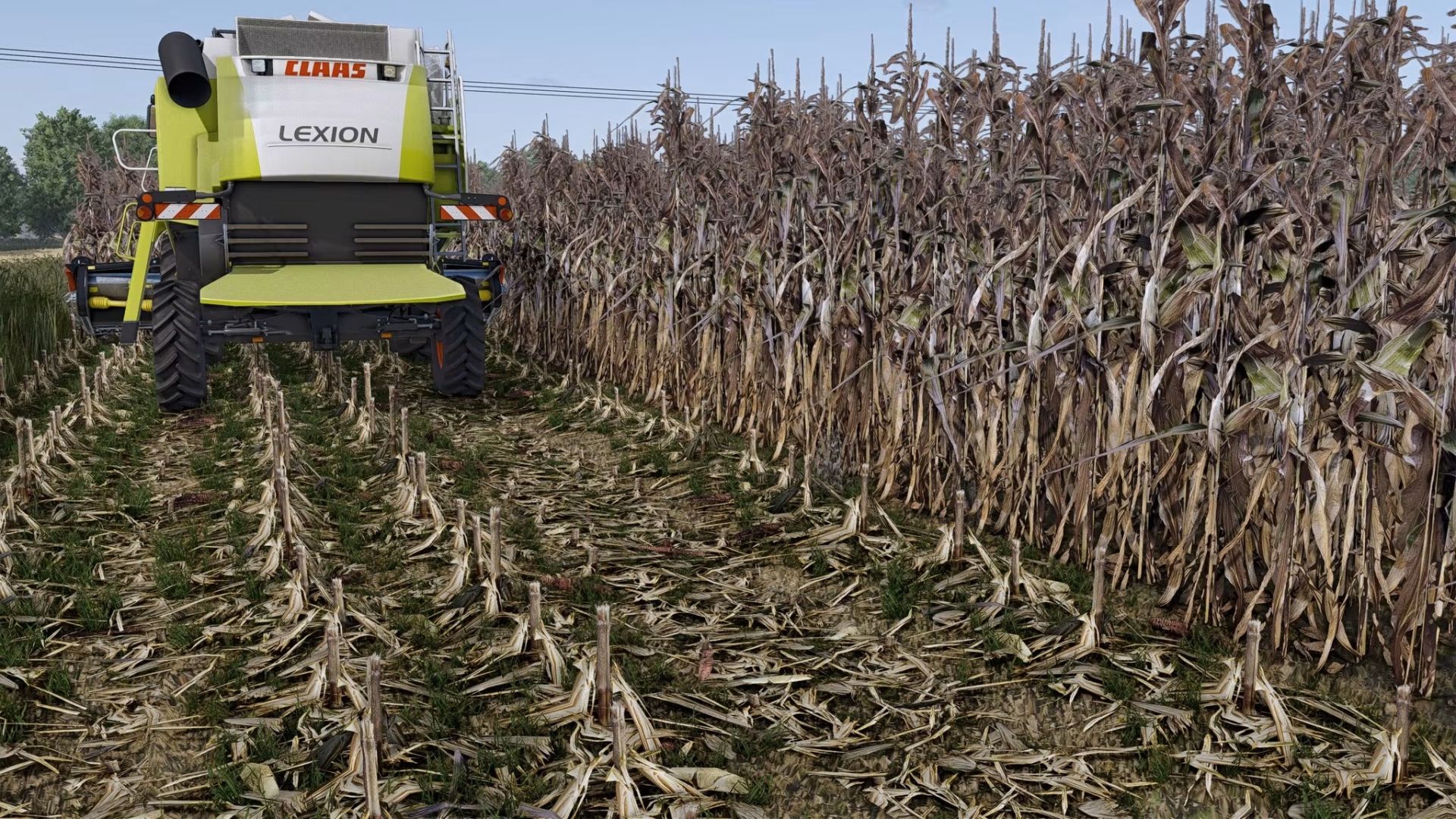 Maize Overhaul