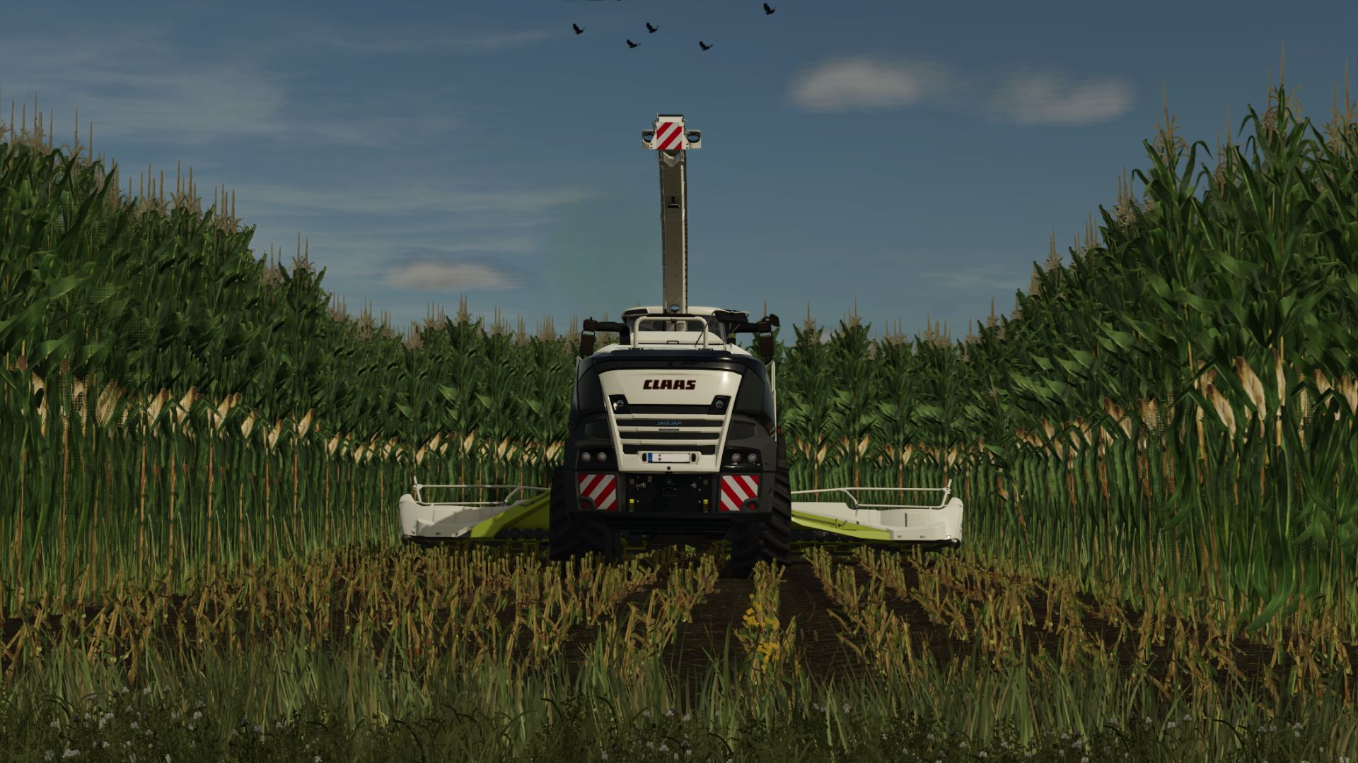 Maize texture (height changed)