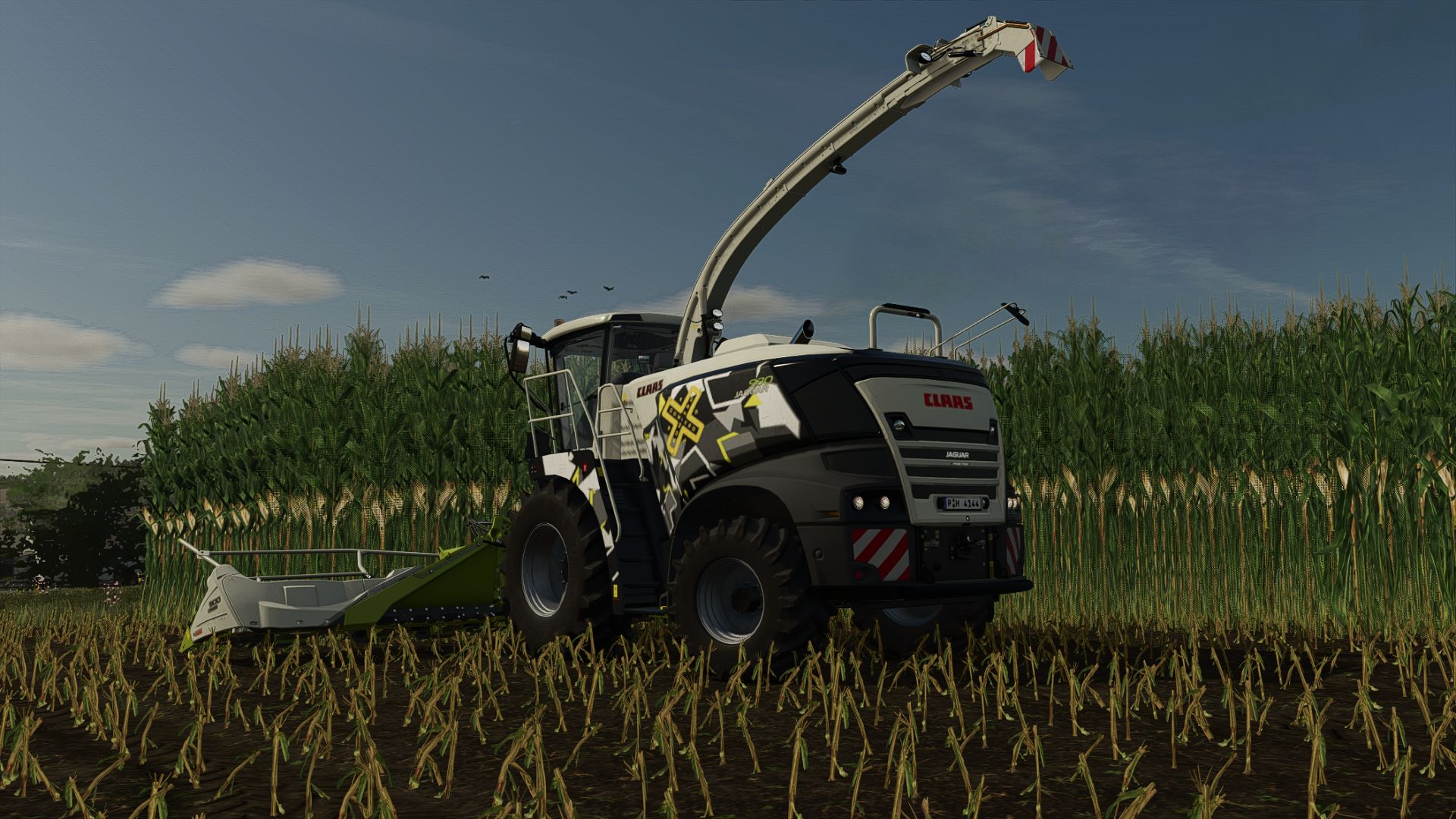 Maize texture (height changed)