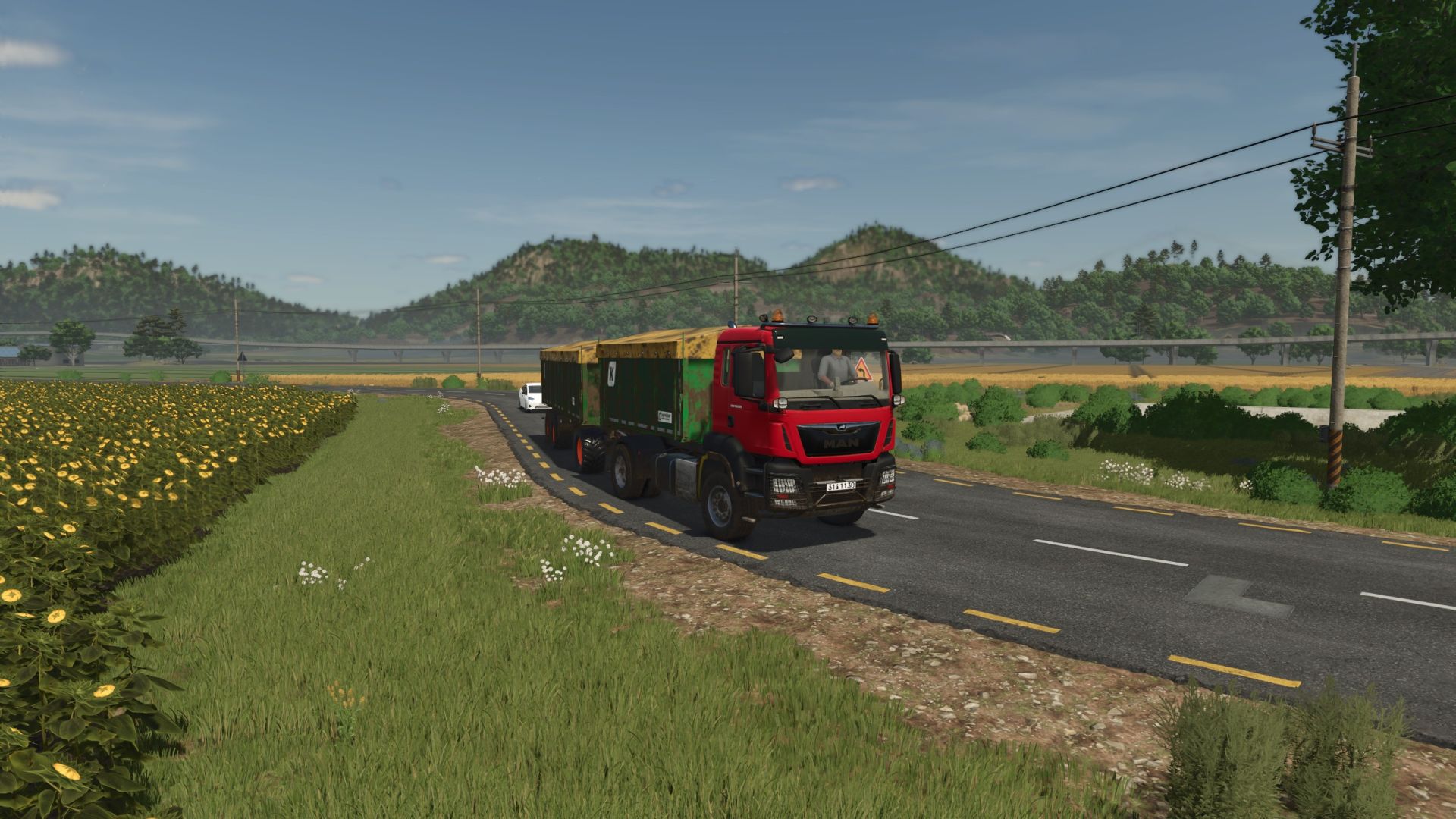MAN TGS AgroTruck