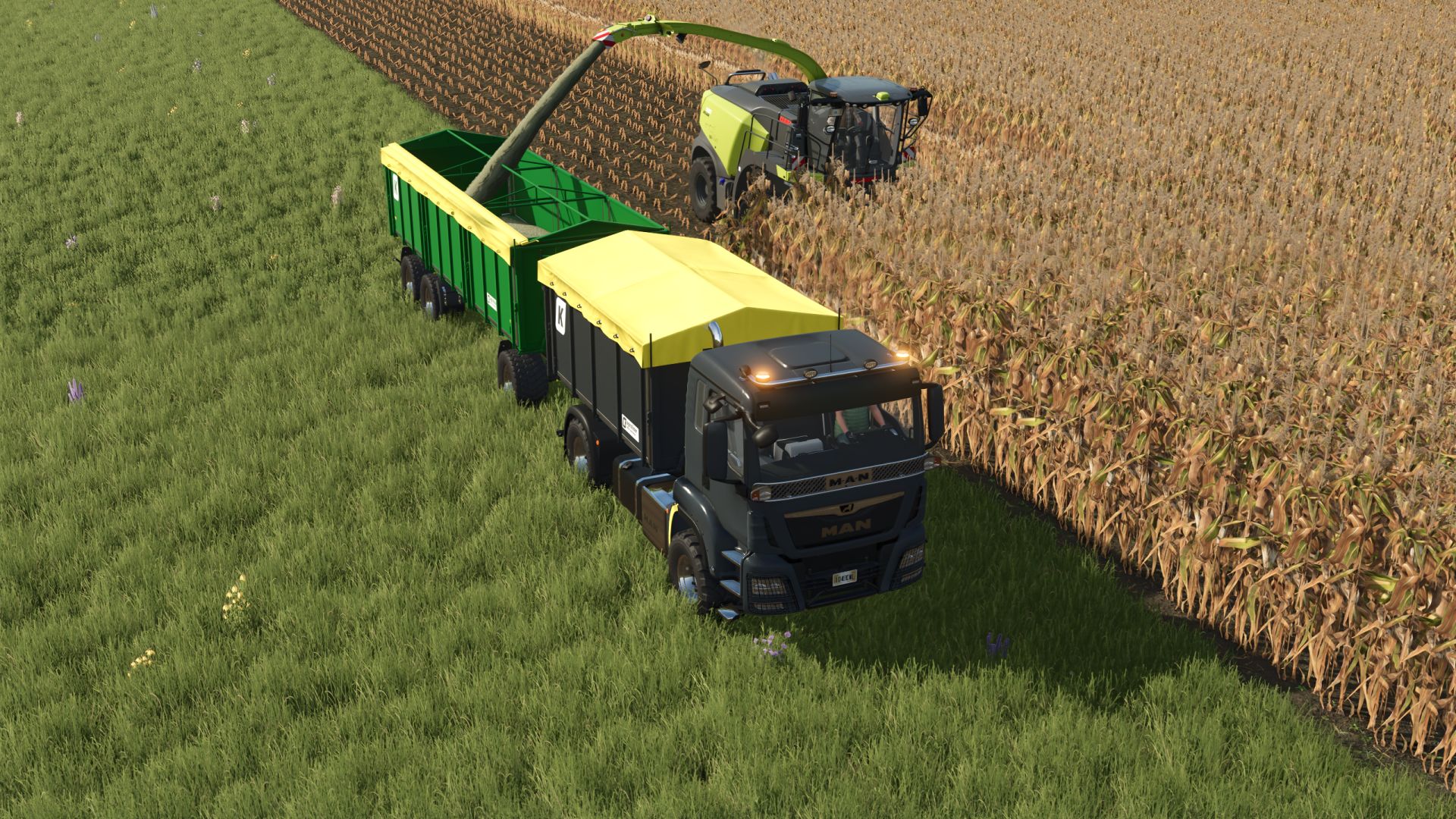 MAN TGS AgroTruck
