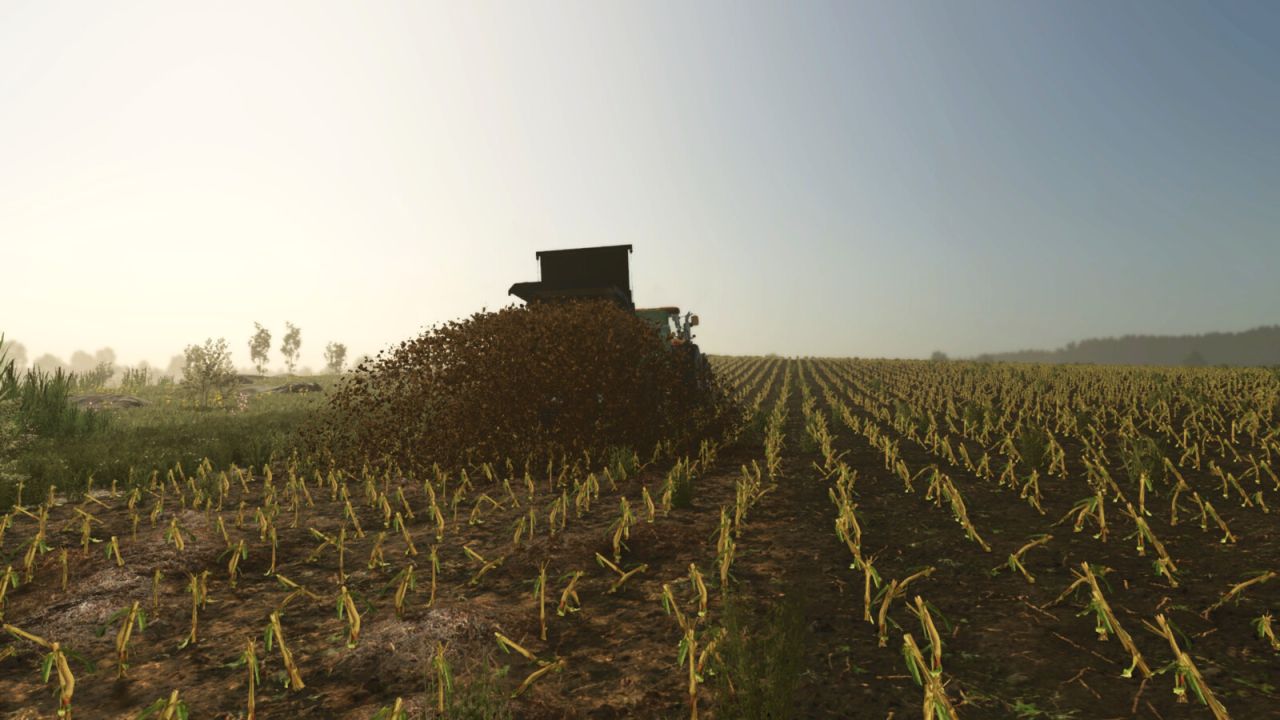 Manure Ground