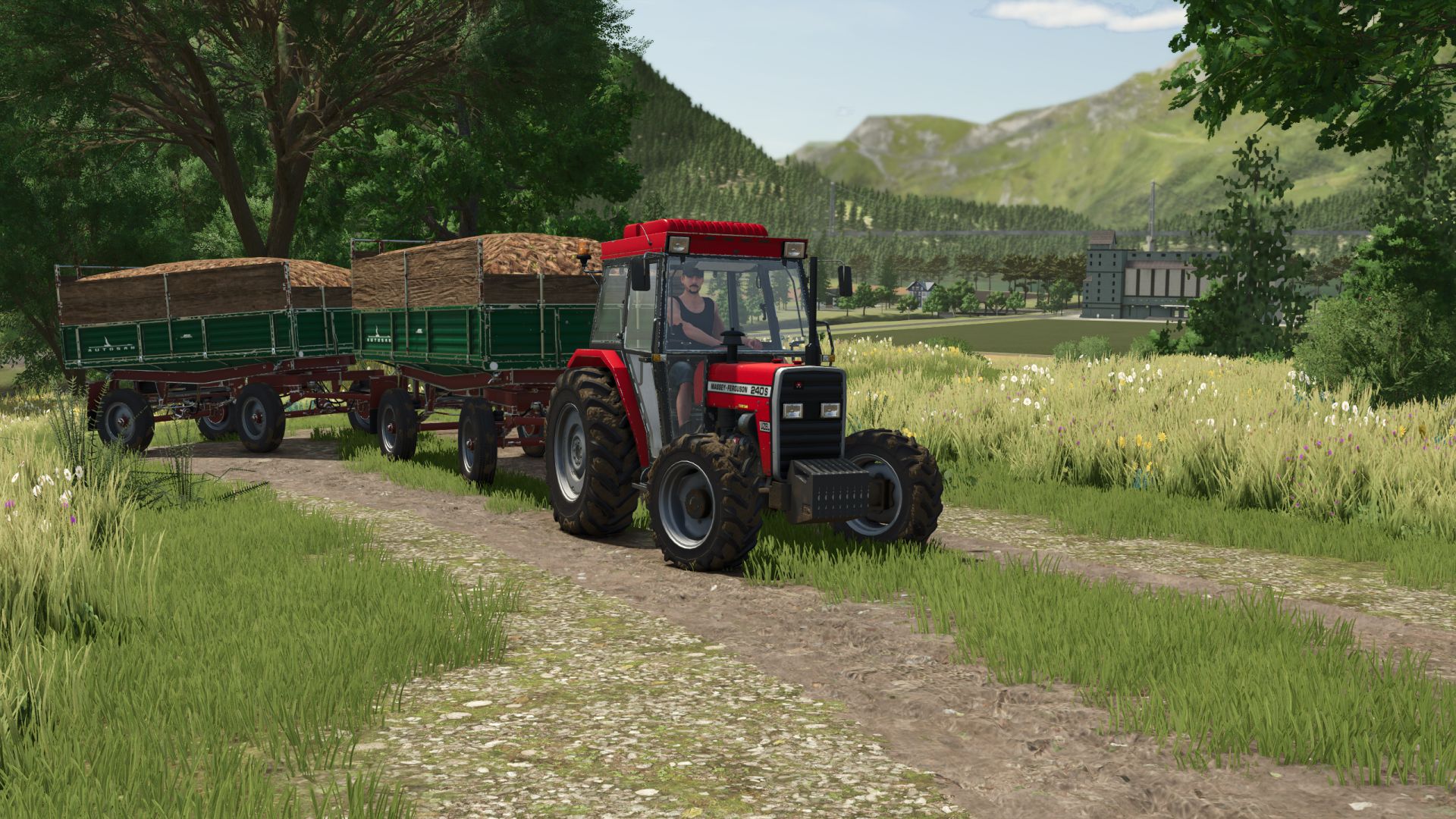 Massey Ferguson Small Classic