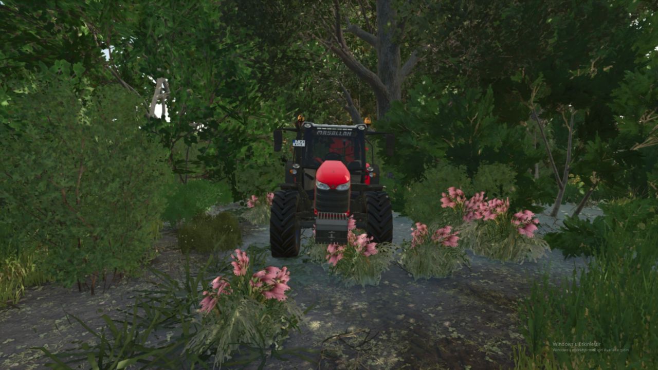 Massey Ferguson Torklu 5713