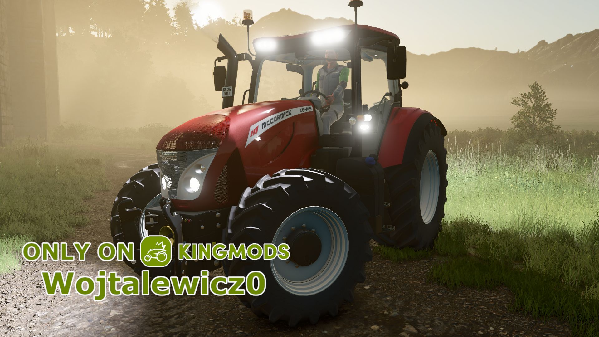 McCormick X6 T4i Series