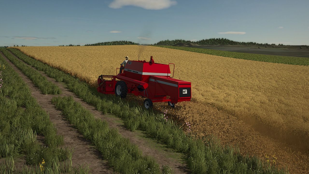 MF 310