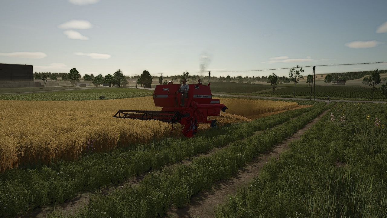 MF 310
