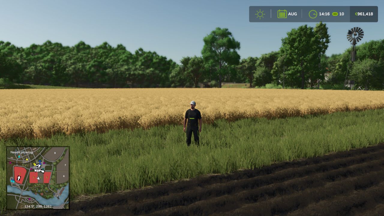 Minimap Plus