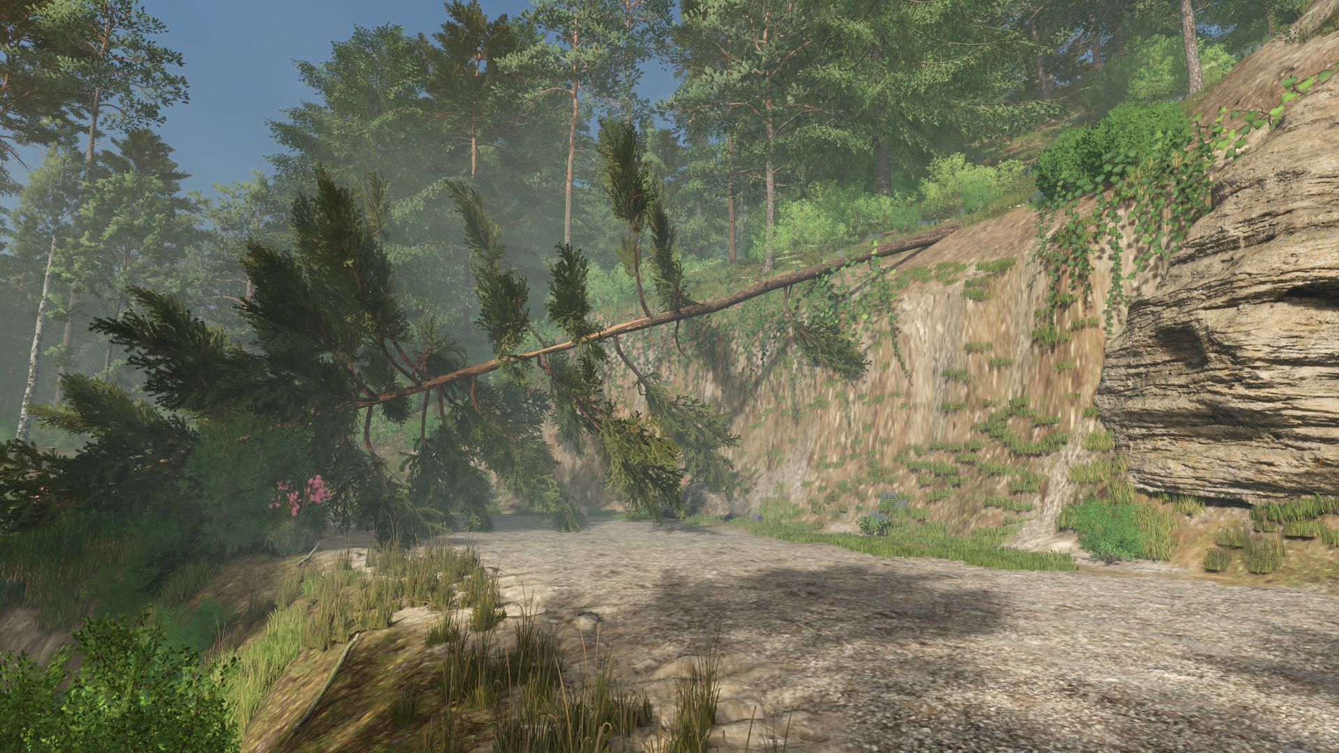 Mining Coast
