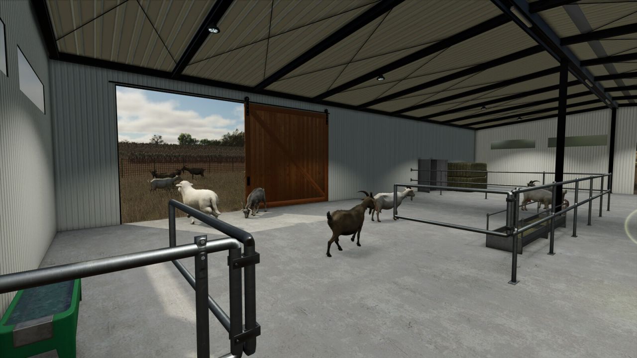Modern Koyun Barn