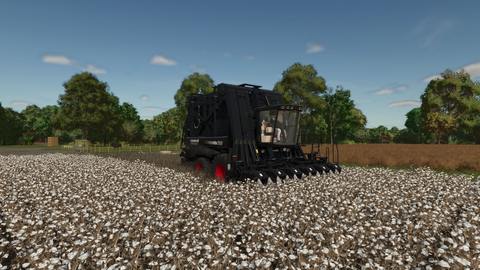 Module Express 635 Black Edition (615hp)