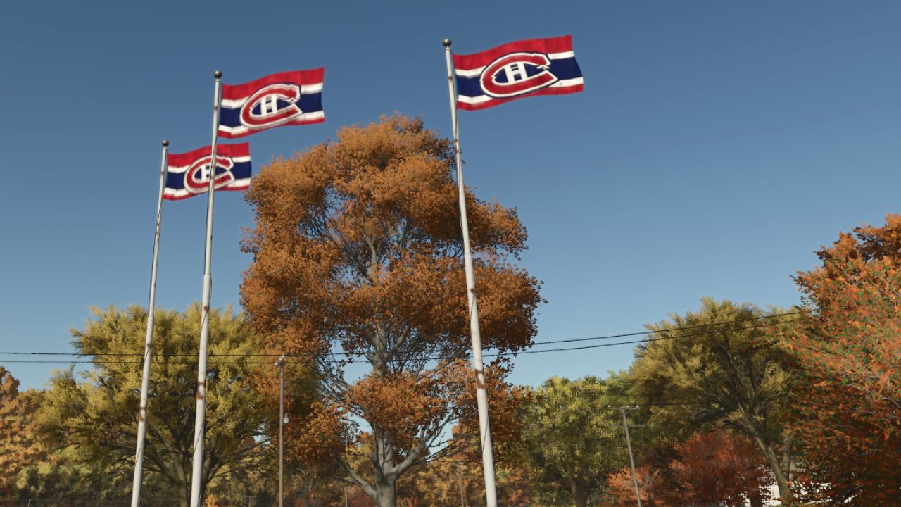 Montreal Canadian Hockey flag