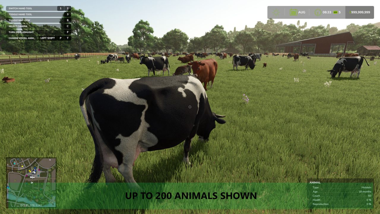 More Visual Animals
