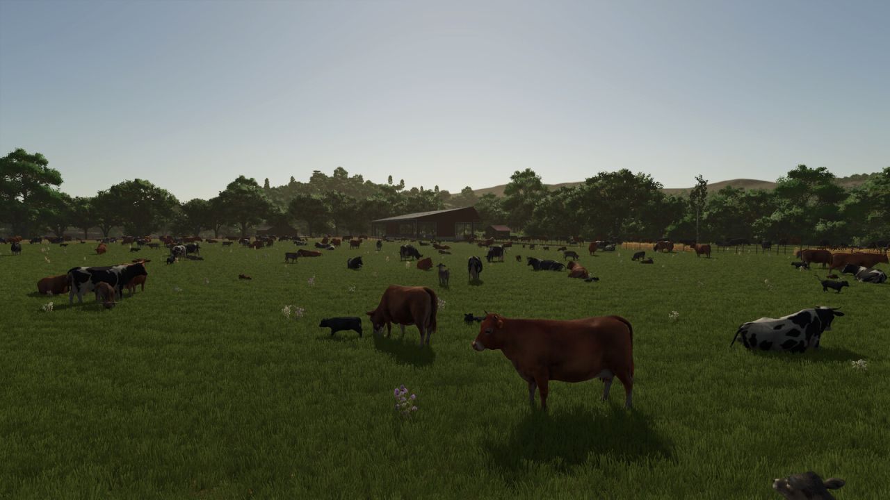 More Visual Animals