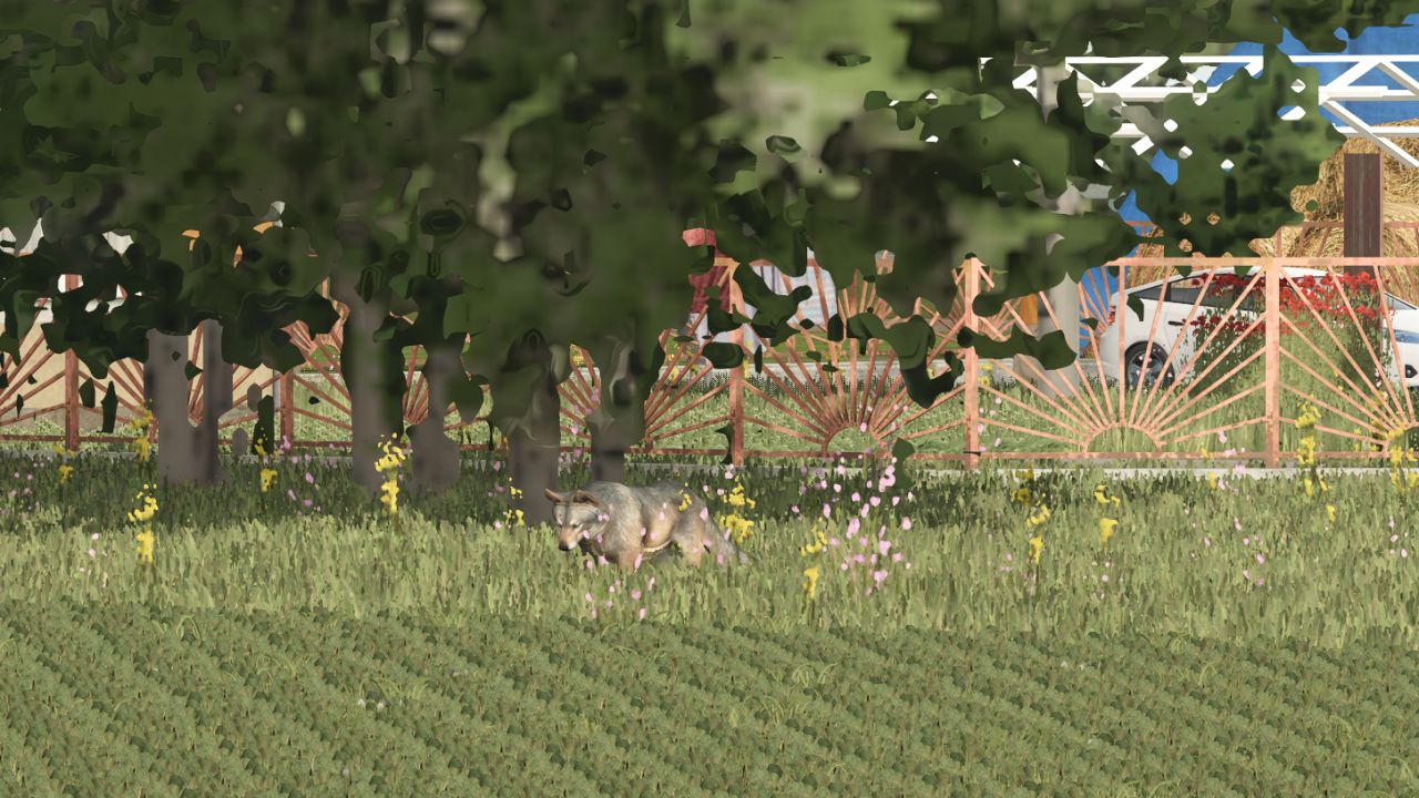 More Wild Animals