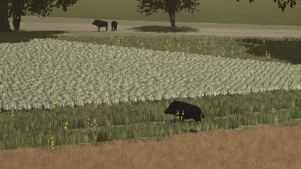 Mais animais selvagens