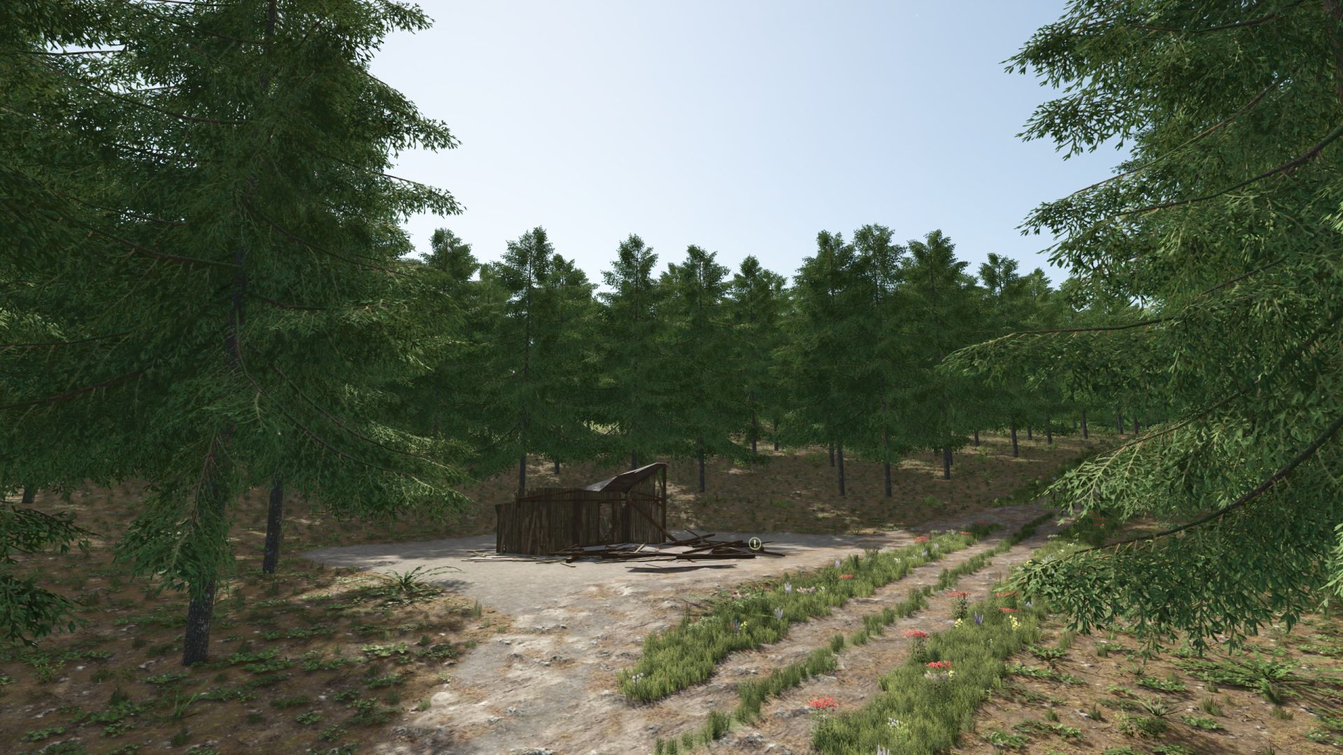 Mountain Hill 2025