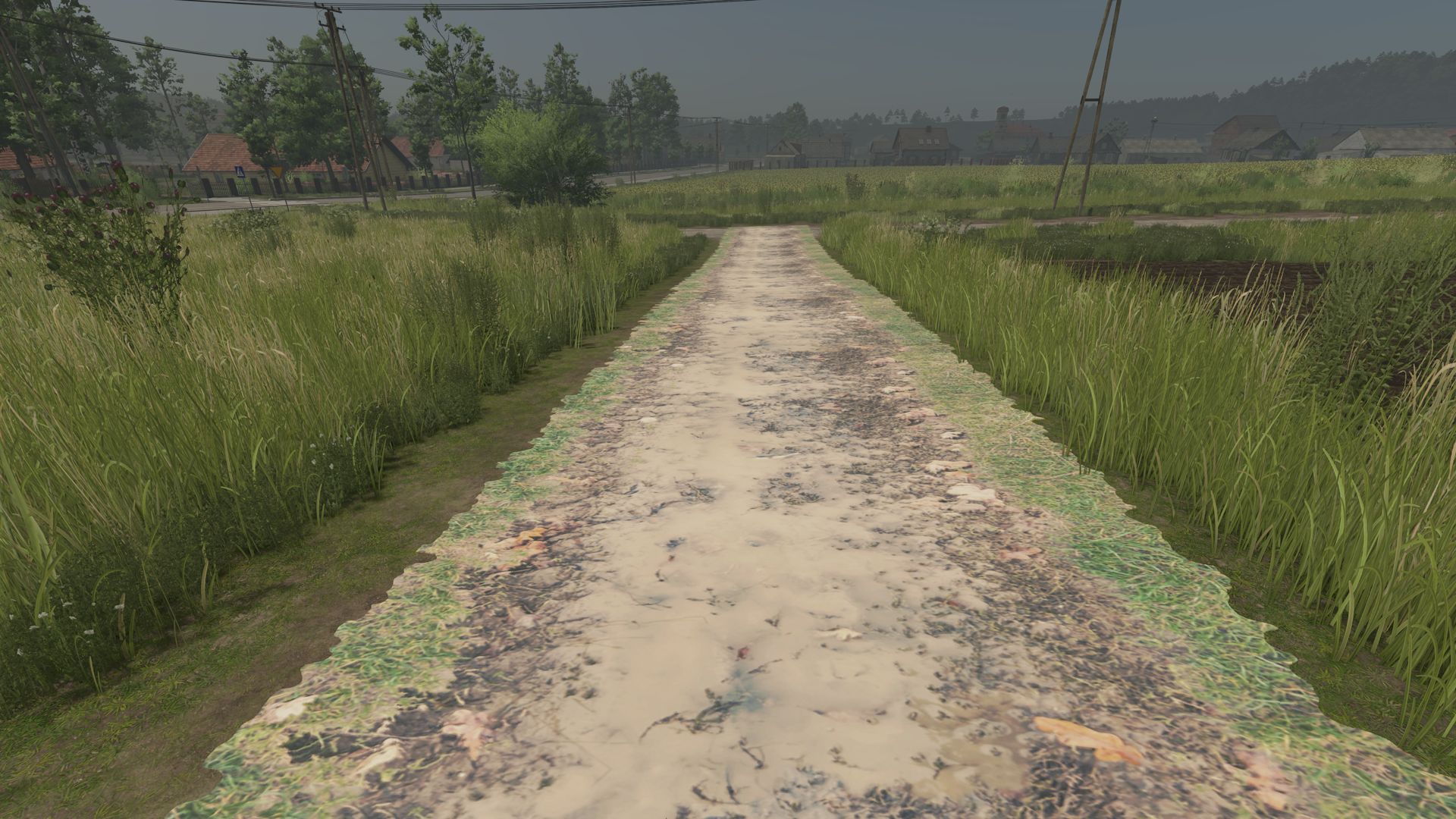 Mud and cobblestone Roads