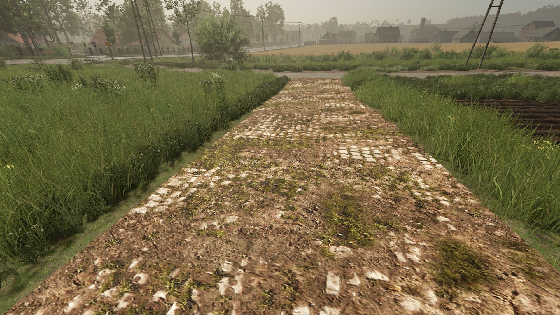 Mud and cobblestone Roads