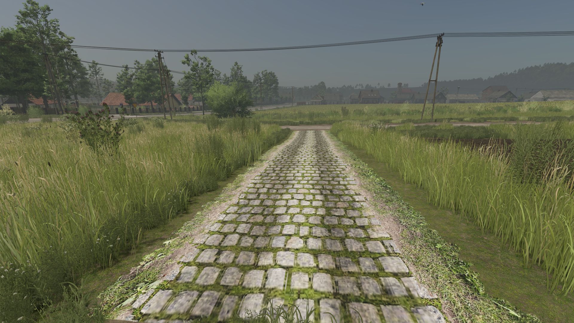 Mud and cobblestone Roads