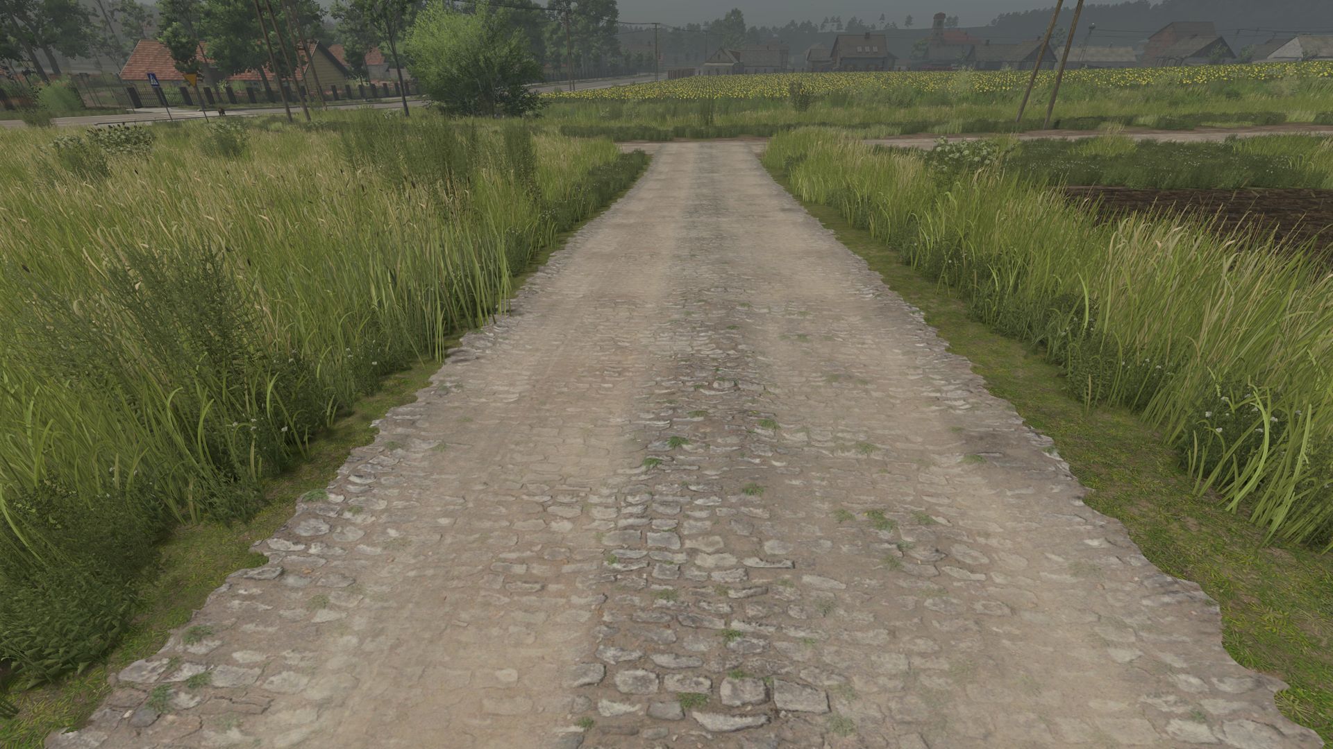 Mud and cobblestone Roads
