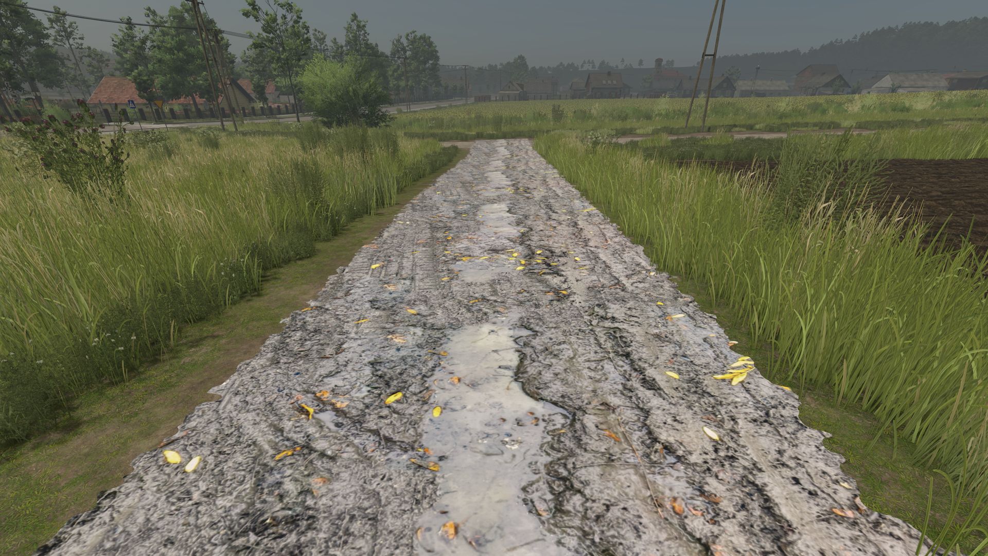 Mud and cobblestone Roads