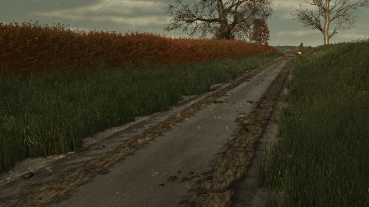 Mud on the road