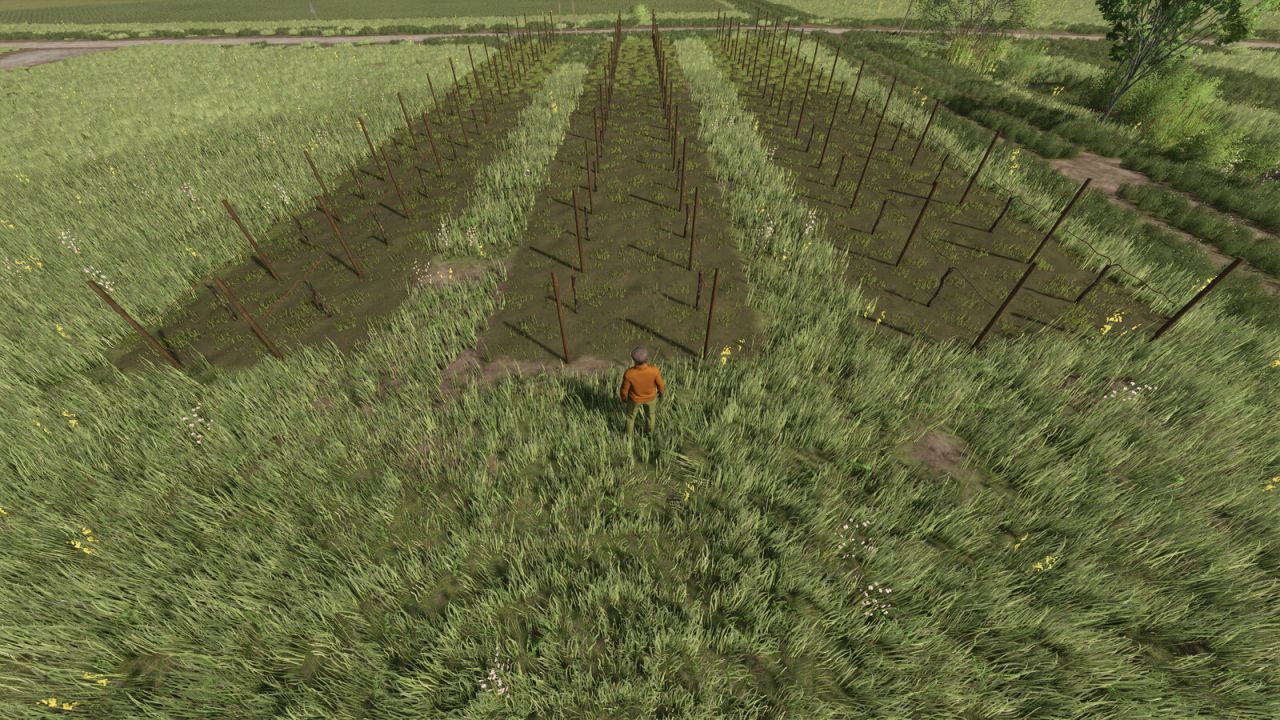 Smalle wijnstokken en olijven (2 en 2,50)