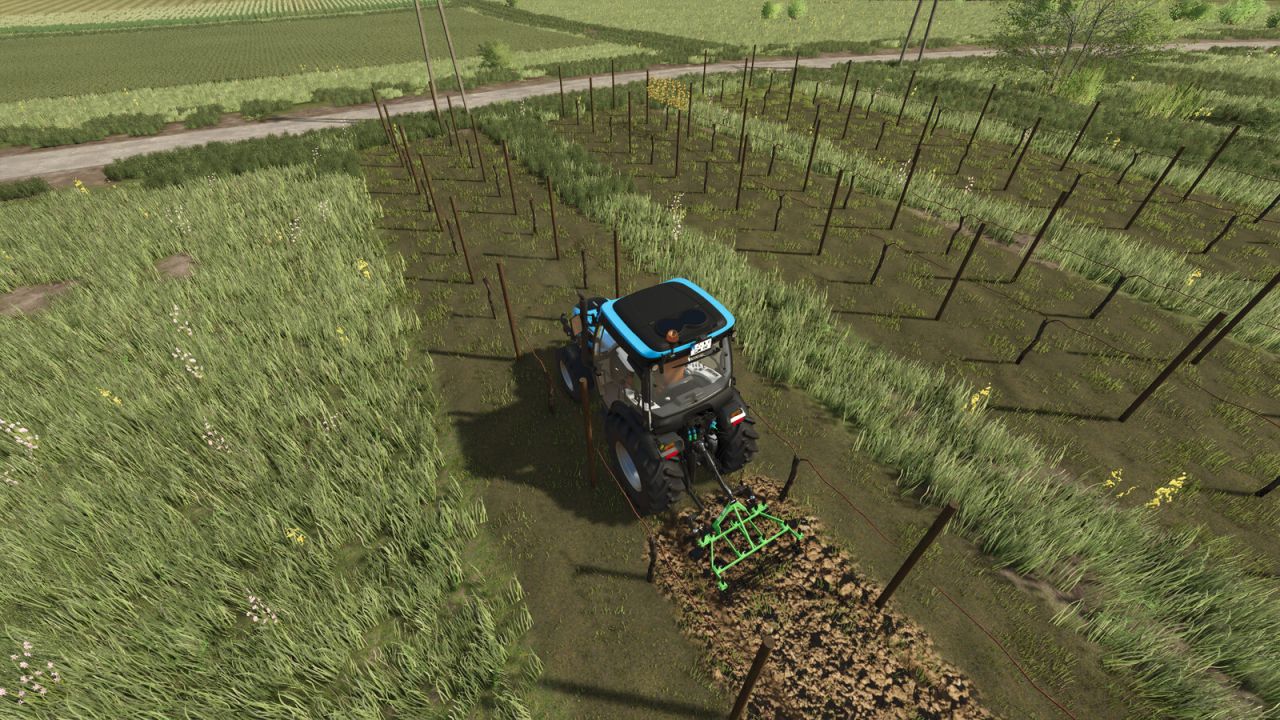 Smalle wijnstokken en olijven (2 en 2,50)