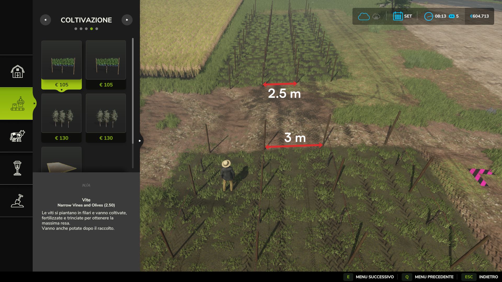 Vines y aceitunas estrechas