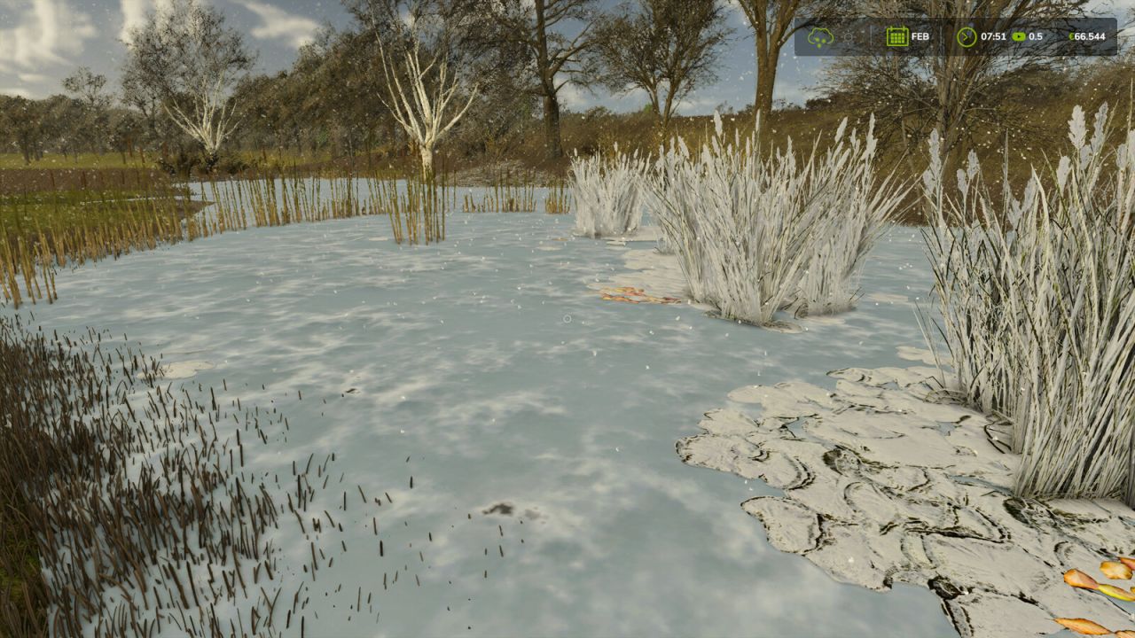 Natural Waterplants
