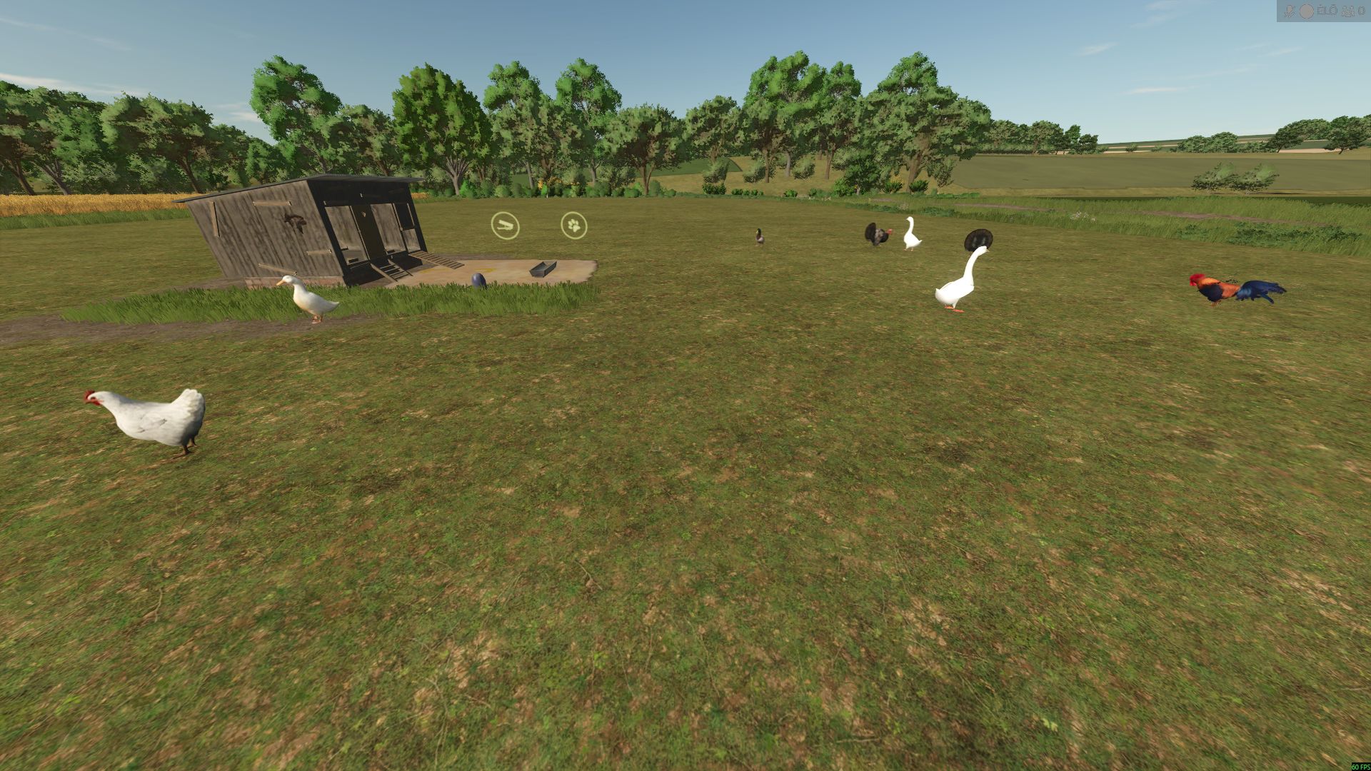 Nuevos animales (ganso, pato, pavo y conejo)