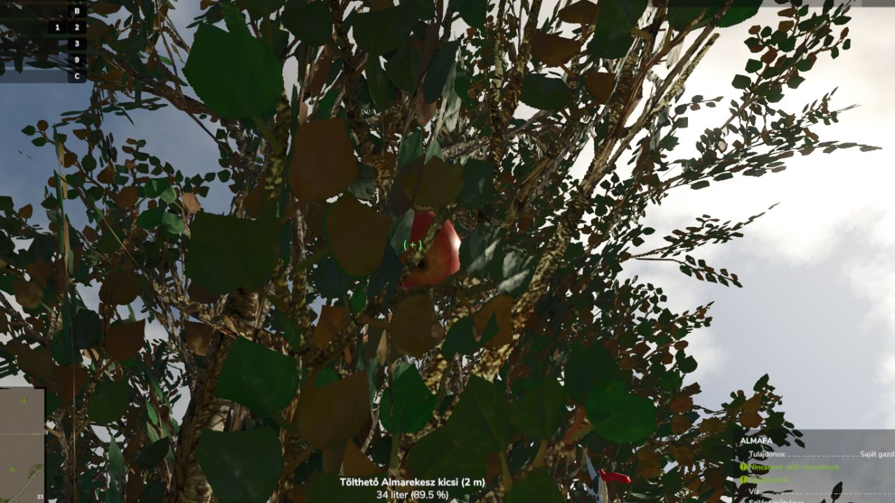 New Apple Tree