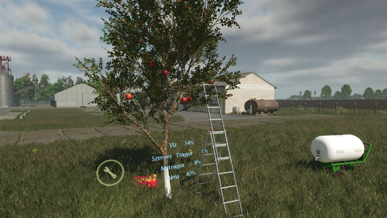 New Apple Tree