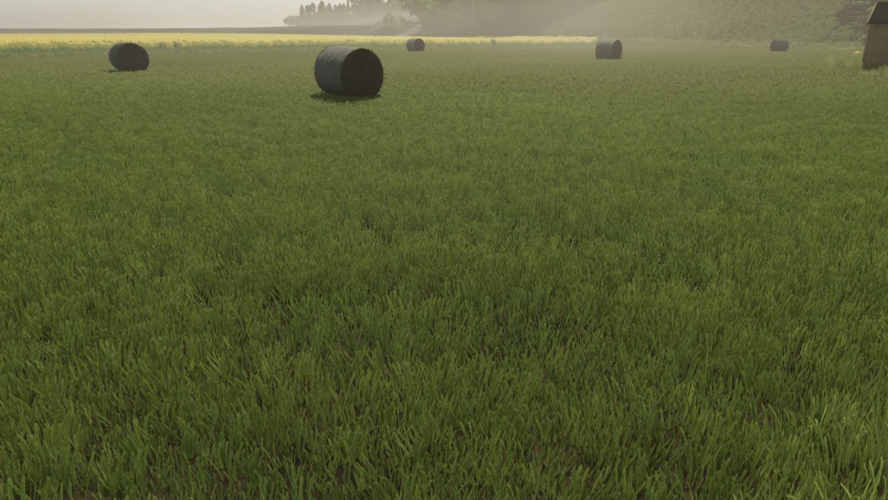 Nouvelle texture de l'herbe