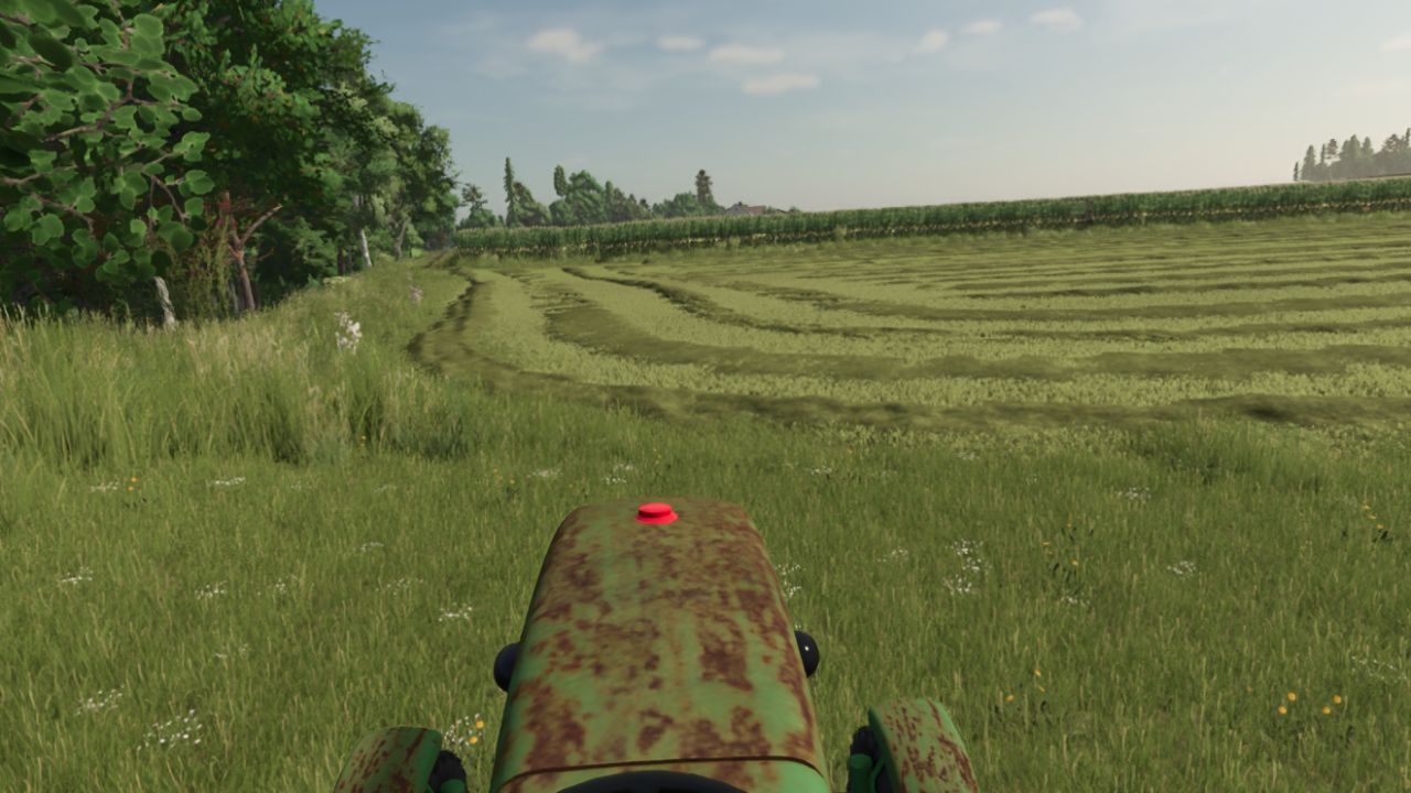 New Grass Texture