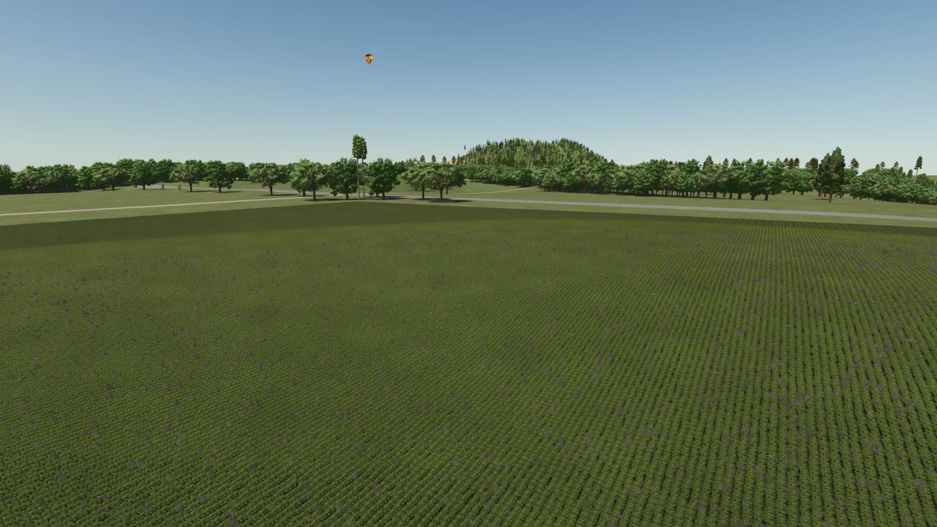 New Land