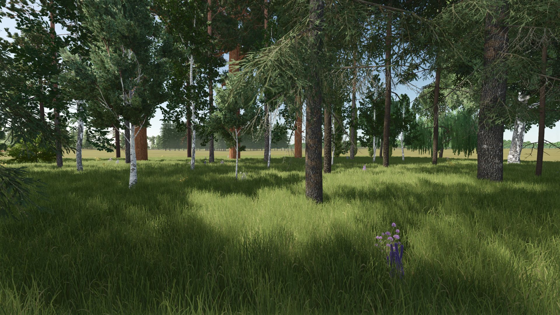 Nuovi tipi di alberi + nuovo limite di alberi