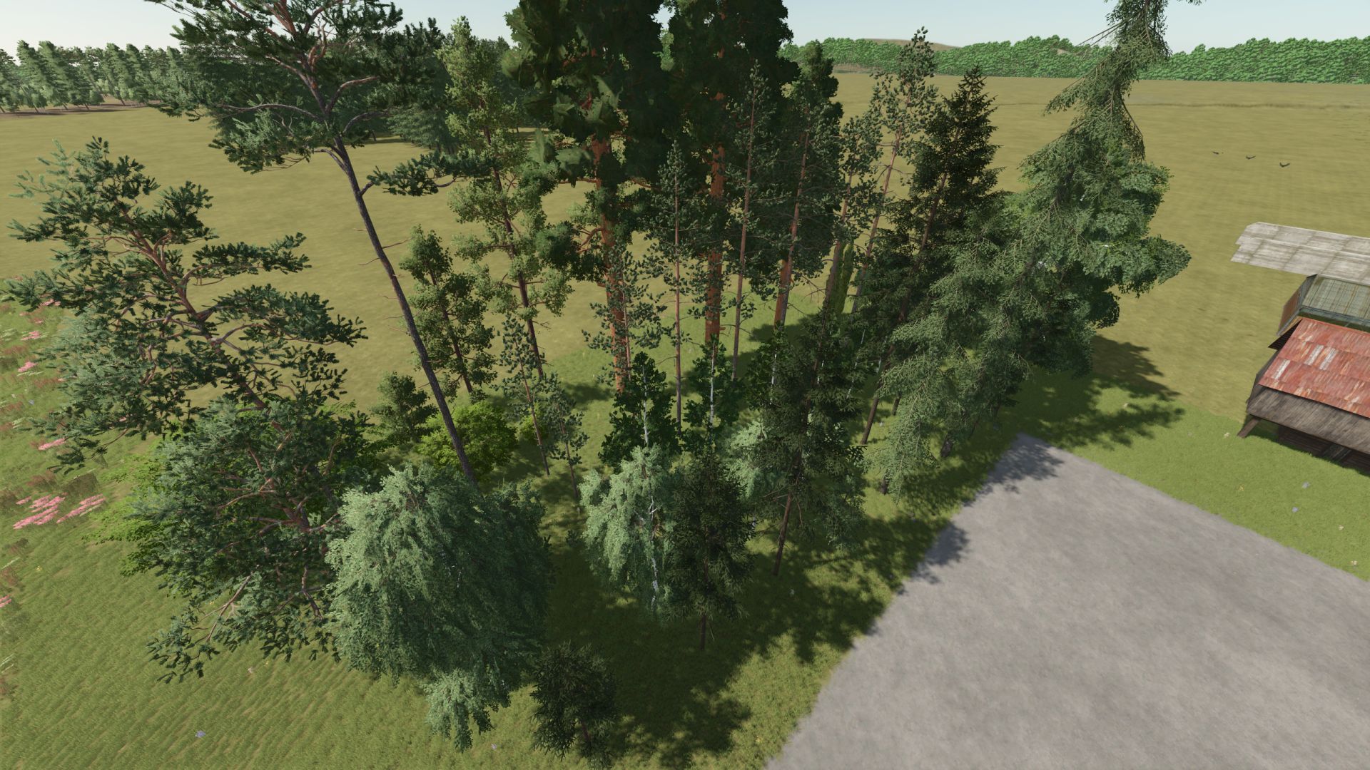 Nuovi tipi di alberi + nuovo limite di alberi