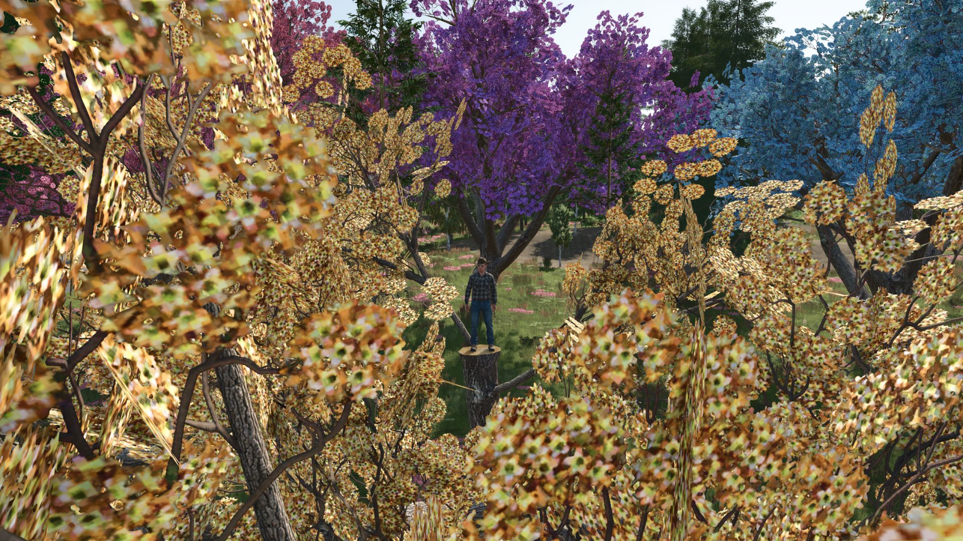 Nuovi tipi di alberi + nuovo limite di alberi