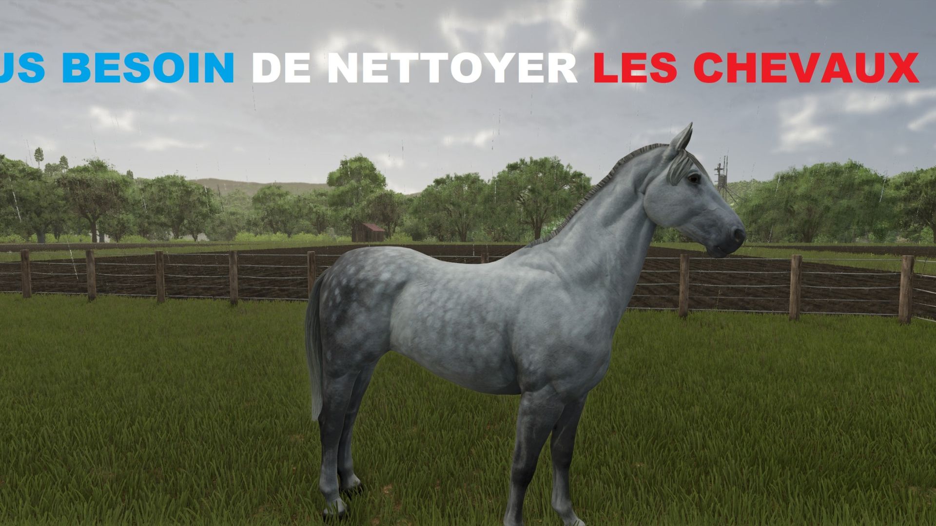 Het is niet nodig om paarden schoon te maken