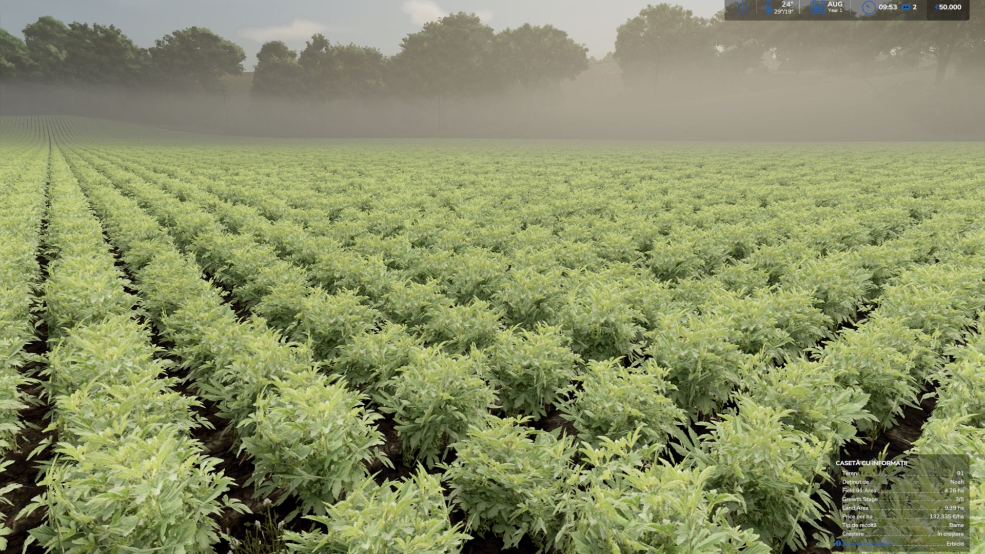Okra (Bame) und Edamame (grüne Sojabohnen) (Prefab)