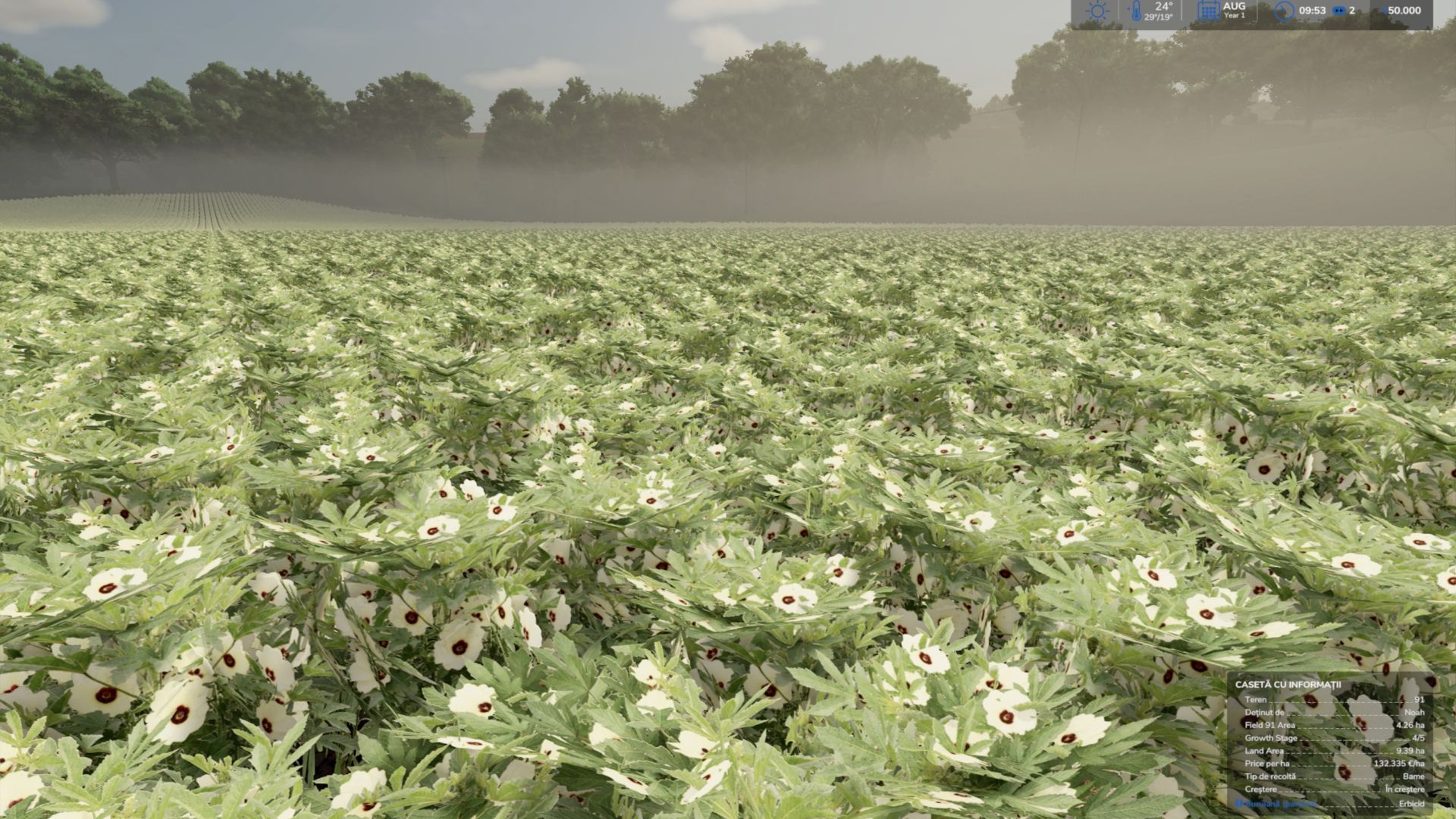 Okra (Bame) und Edamame (grüne Sojabohnen) (Prefab)