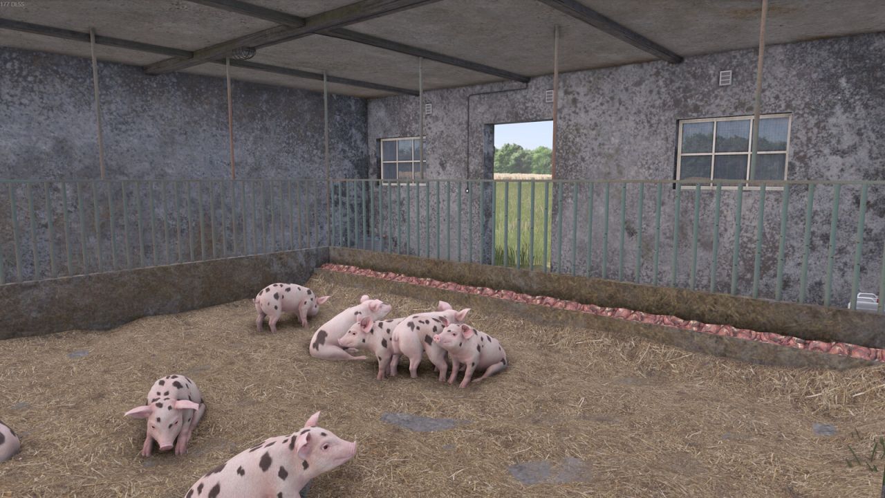 Vecchia stalla per bovini e maiali