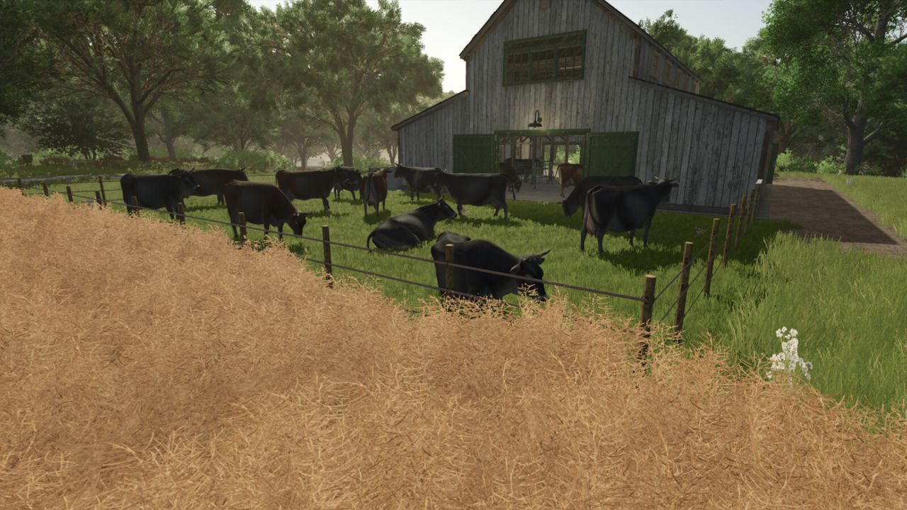 Old Cowbarn